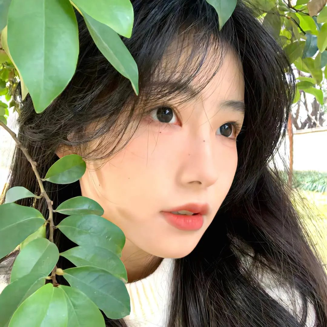 我们不属于这里